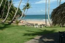 Tambora Beach Suites Las Terrenas Luaran gambar
